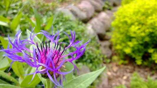 WP_20130612_002.jpg
