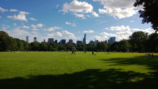 WP_20130814_031.jpg