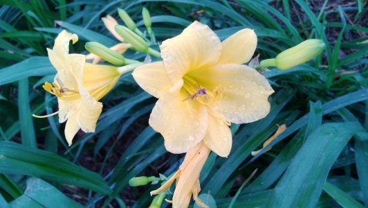 WP_20130608_005.jpg