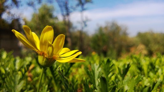 2013_08_03_10_48_16_ProShot.jpg
