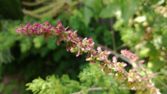 2013_08_03_10_43_49_ProShot.jpg