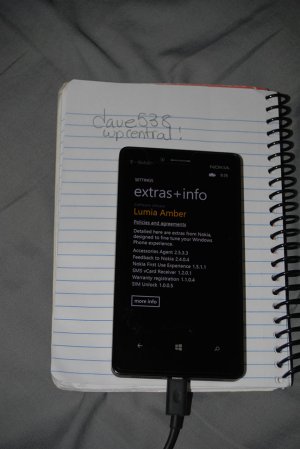 L810Amber.JPG