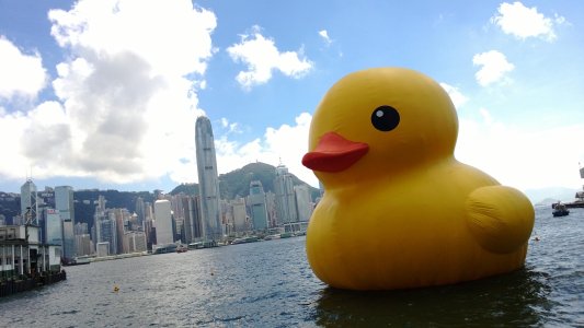 Rubber Ducky.jpg