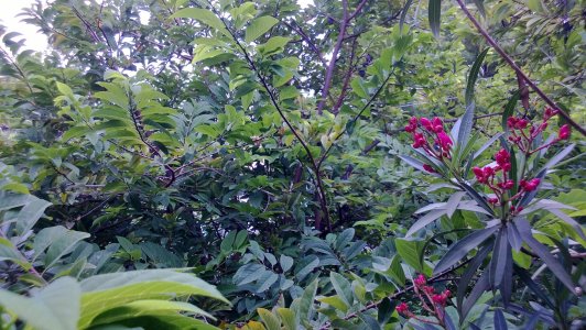 WP_20130818_006.jpg