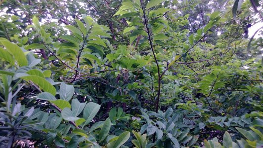 WP_20130818_007.jpg
