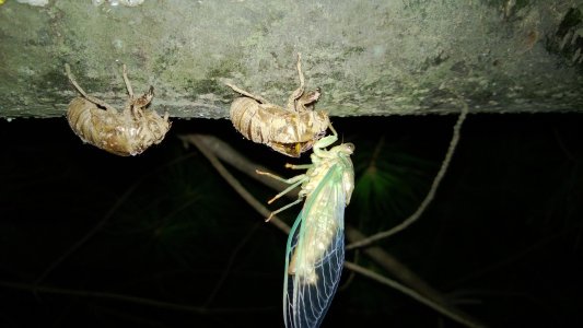 WP_20130811_011.jpg