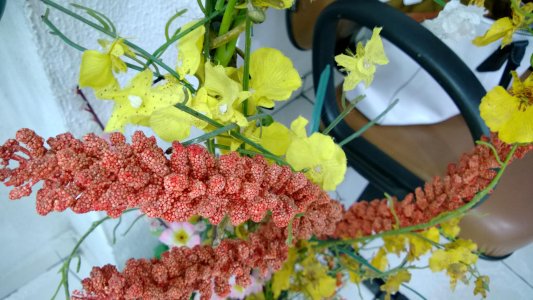 WP_20130822_17_51_15_Pro.jpg