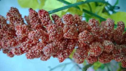 WP_20130822_18_03_04_Pro.jpg