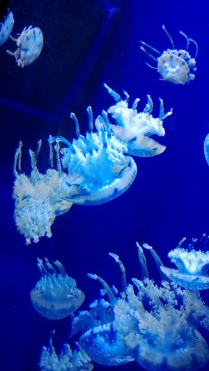 WP_20130809_086.jpg