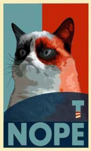 Grumpy Cat.jpg
