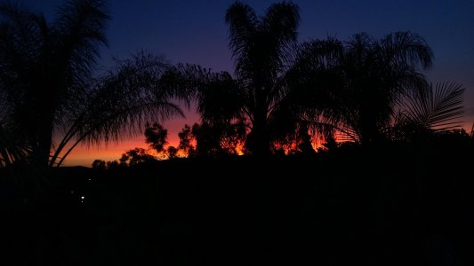 WP_20130629_002.jpg