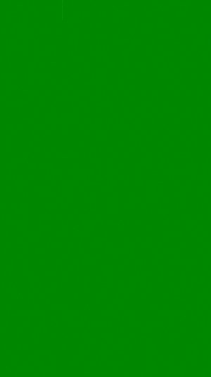 WP_20130730_007.jpg