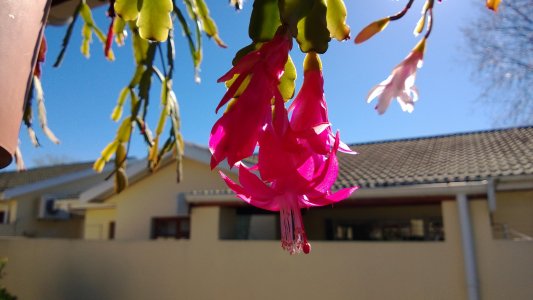 WP_20130714_019.jpg