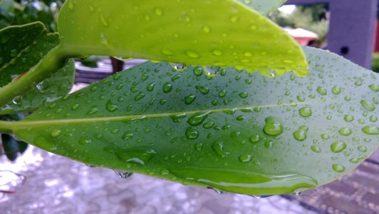 WP_20130807_002.jpg