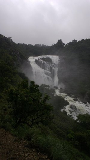 WP_20130623_003.jpg