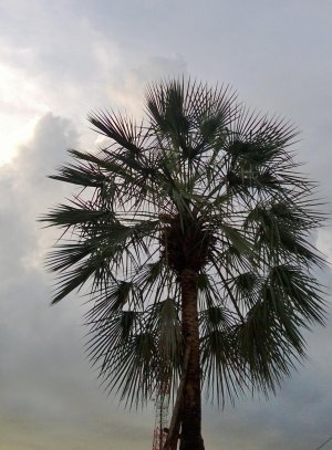 WP_20130702_008.jpg