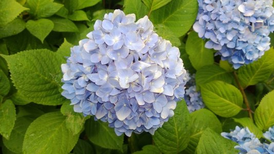 WP_20130630_004.jpg