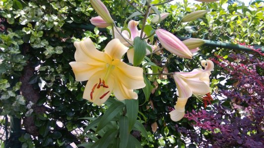 WP_20130704_021.jpg