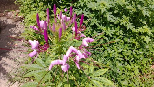 WP_20130704_022.jpg