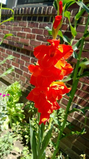 WP_20130706_001.jpg