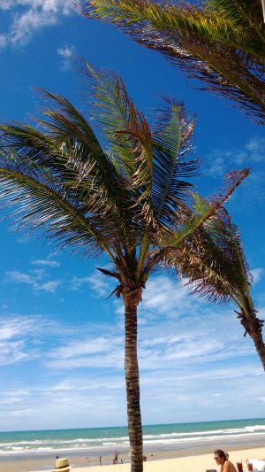 WP_20130711_009.jpg