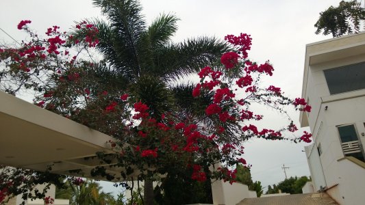 WP_20130711_069.jpg