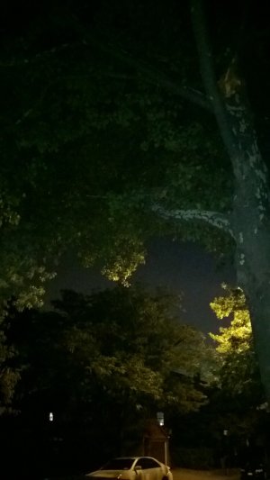WP_20130830_009.jpg