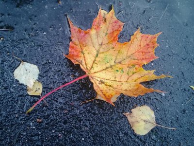 WP_20130922_15_36_25_Pro1.jpg