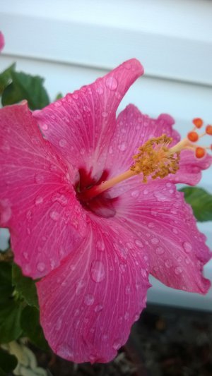 WP_20130831_18_33_04_Pro[1].jpg