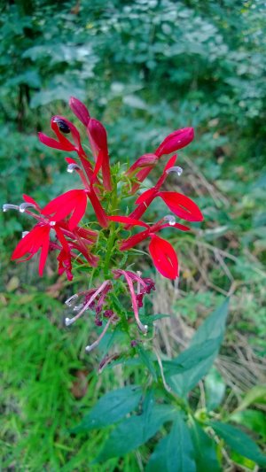 WP_20130908_11_16_44_Pro[1].jpg
