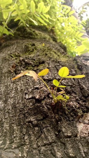 WP_20130924_15_47_22_Pro.jpg