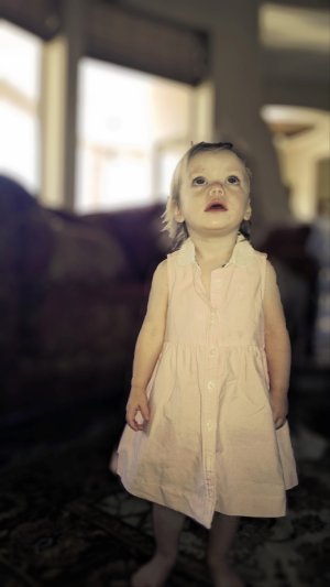 WP_20130531_00320130531141141 (Medium).jpg