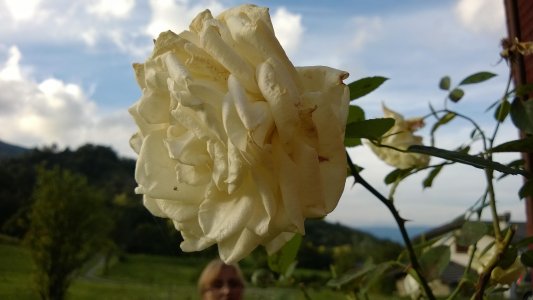 WP_20130914_030.jpg