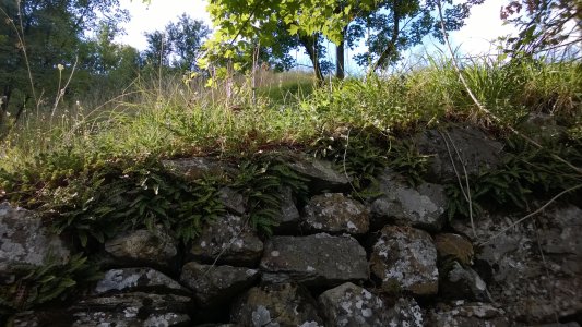 WP_20130914_16_36_18_Pro.jpg
