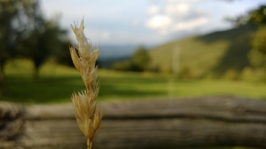 WP_20130914_17_44_34_Pro.jpg