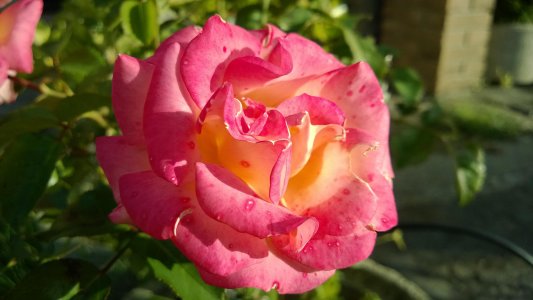 WP_20130914_026.jpg