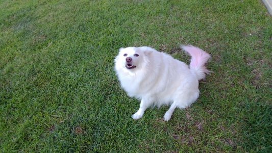 Cody-09-14-2013.jpg
