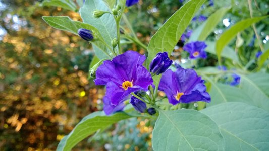 WP_20130824_19_03_10_Pro.jpg