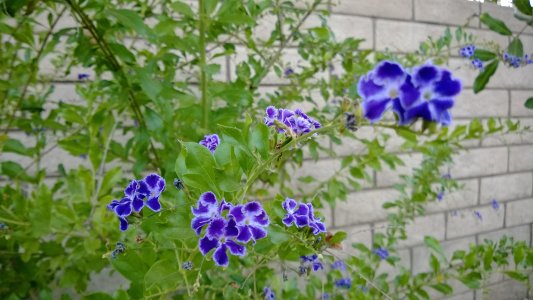 WP_20130824_19_14_00_Pro.jpg