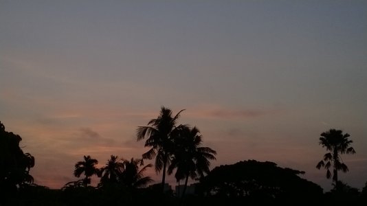 WP_20130915_006.jpg