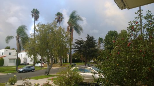 WP_20131028_17_36_24_Pro.jpg