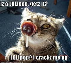 lolli.jpg