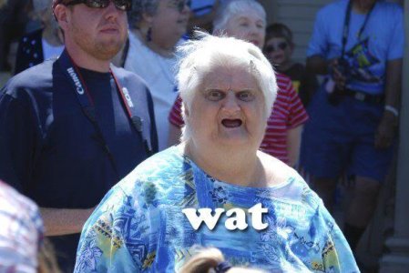 wat-meme-old-lady.jpg