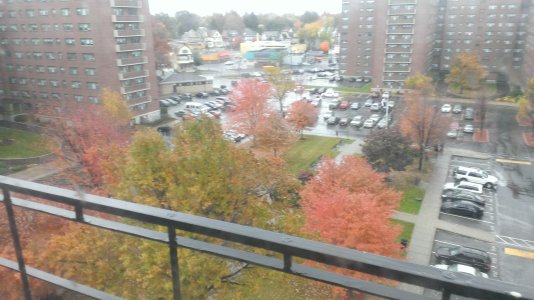 WP_20131101_003.jpg