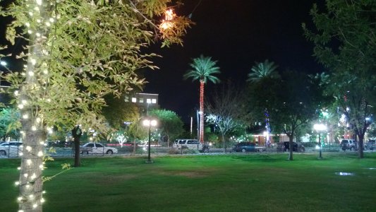 WP_20121120_023.jpg