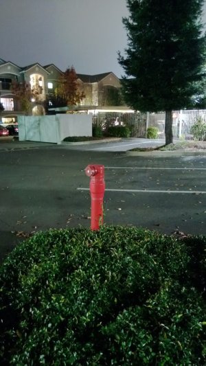 WP_20121126_092.jpg