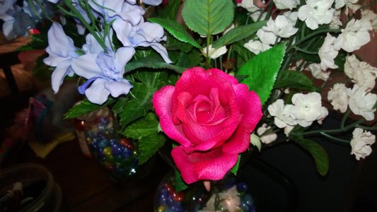 WP_20121127_050.jpg