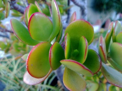 WP_20121219_019.jpg