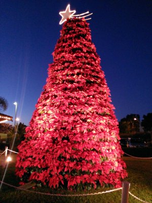 WP_20121222_031.jpg
