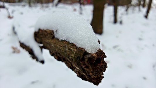 CS20121201135007.jpg